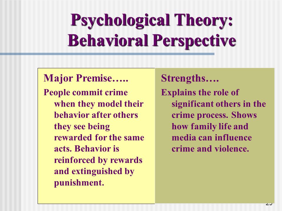 The psychoanalytic explanation of criminal behavoiur psychology essay